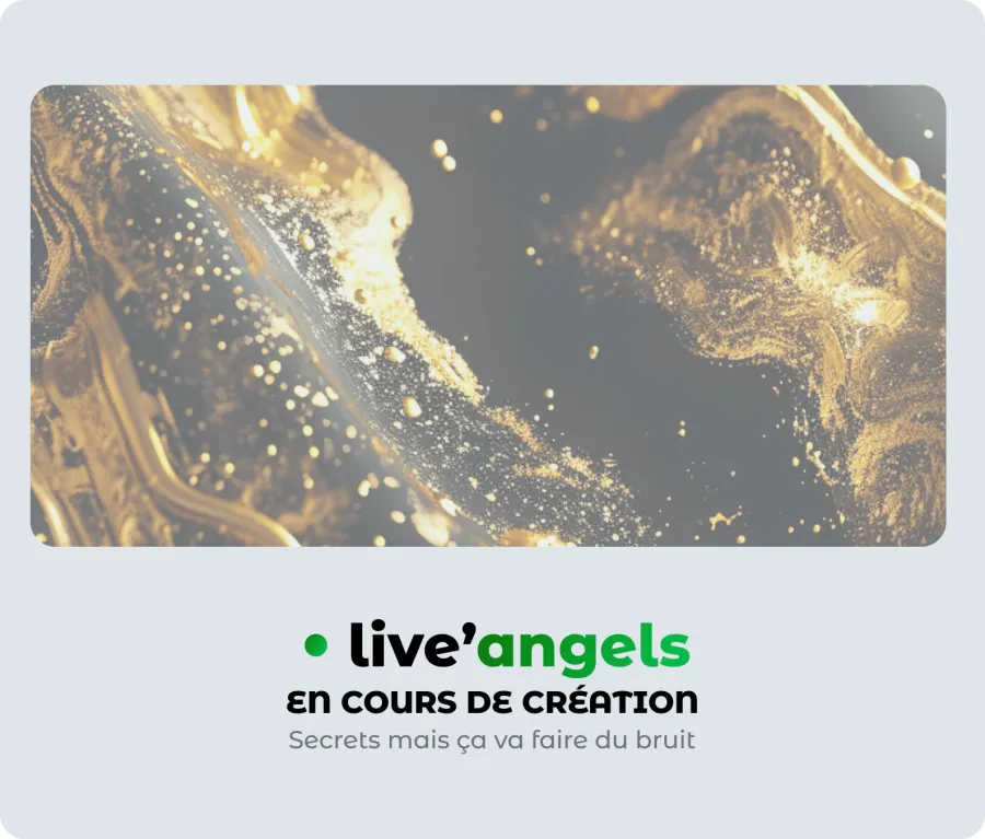 Aperçu de LiveAngel